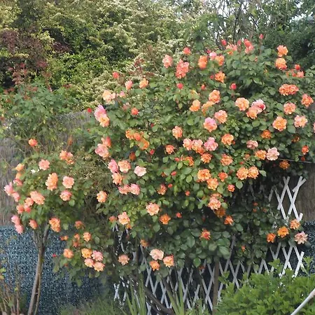 Du Puy D'alon 3* Souillac